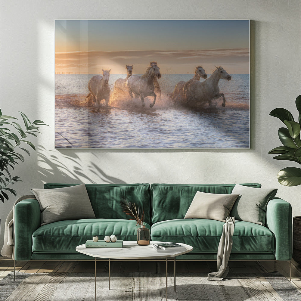 Camargue Horses II Poster